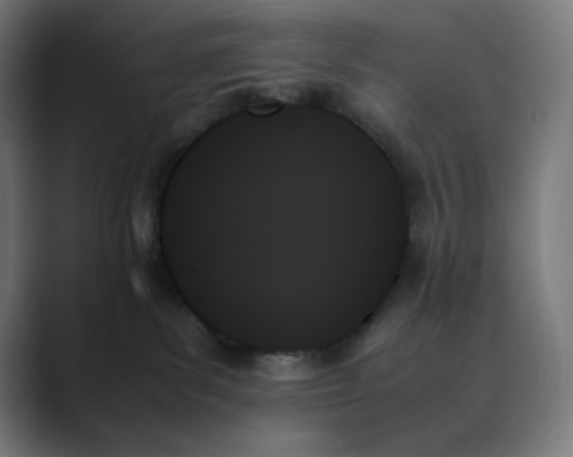 X0000089350139200706291029