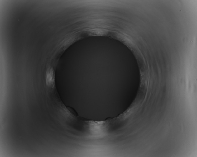 X0000089350143200706291029