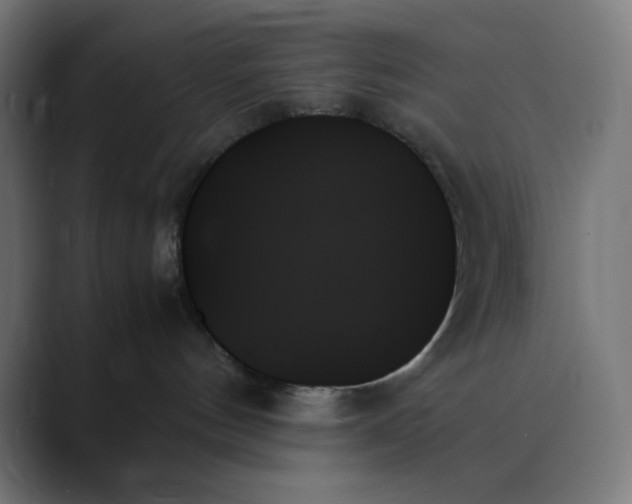 X0000089350144200706291029