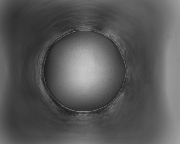 X0000089350145200706291028