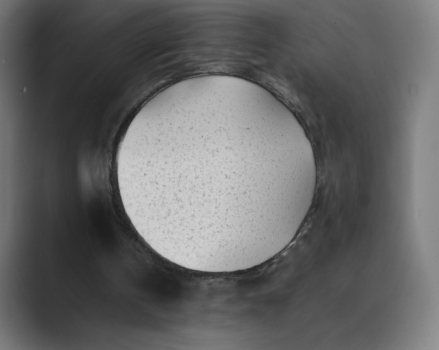 X0000089350146200706291028