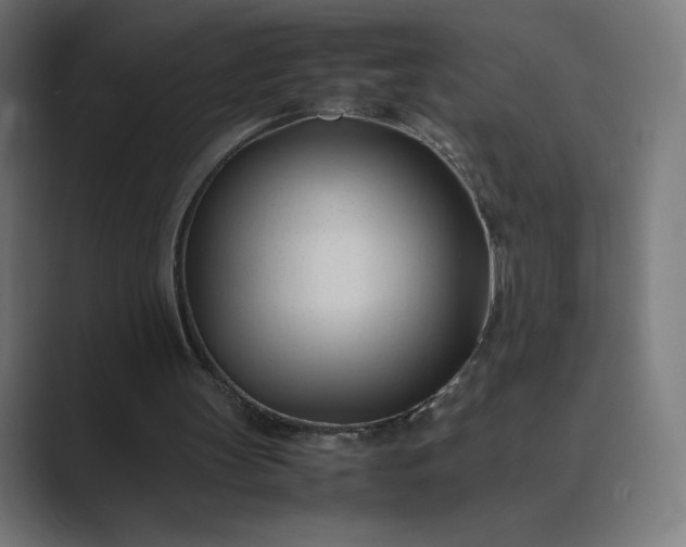 X0000089350147200706291028