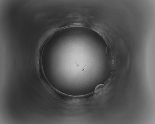 X0000089350149200706291028