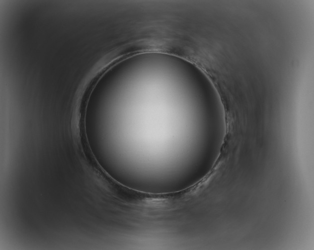 X0000089350150200706291028