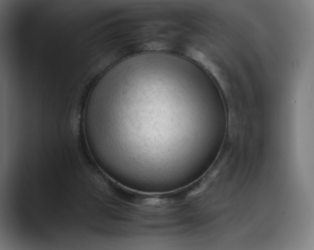 X0000089350153200706291028