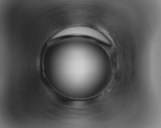 X0000089350154200706291028