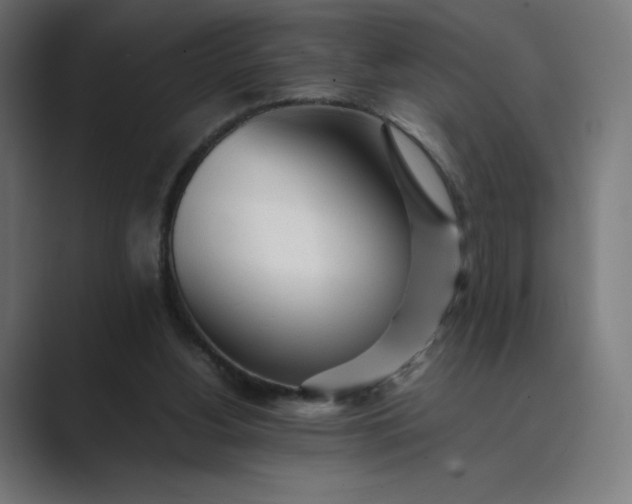 X0000089350156200706291028