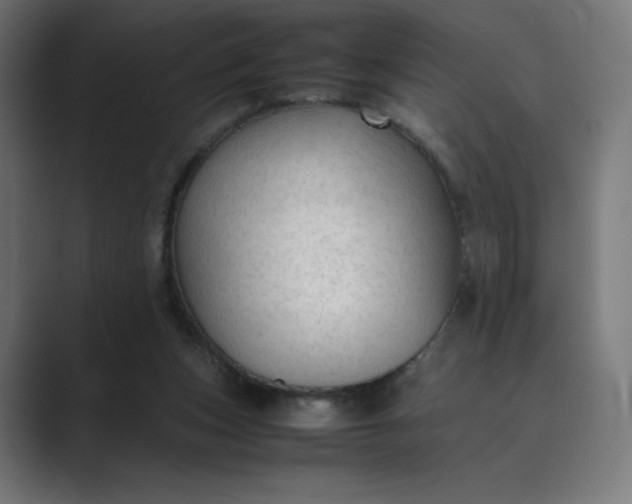 X0000089350159200706291028