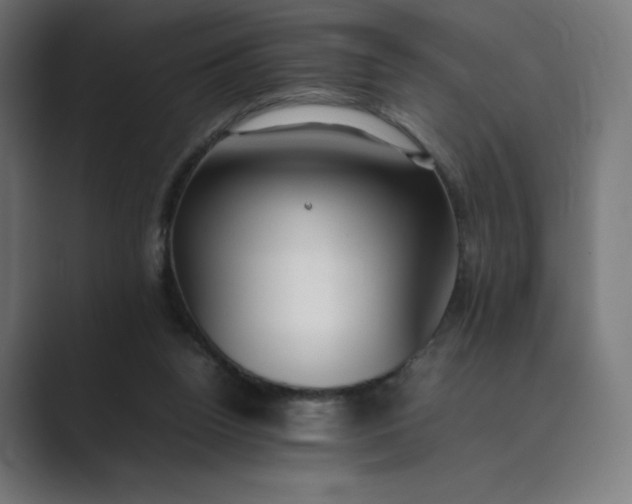 X0000089350160200706291028