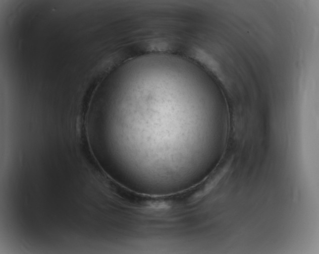X0000089350161200706291028