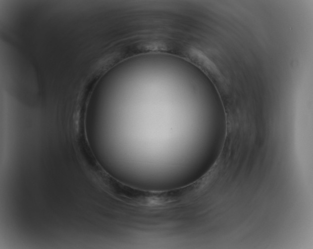 X0000089350163200706291028