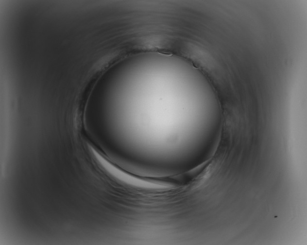 X0000089350164200706291028