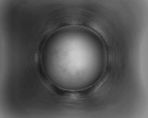 X0000089350165200706291028