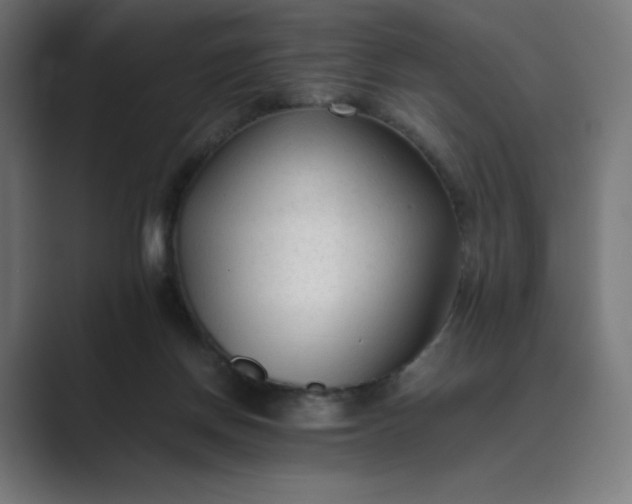 X0000089350166200706291028