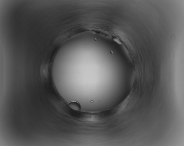 X0000089350167200706291028