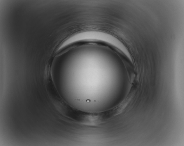 X0000089350168200706291028