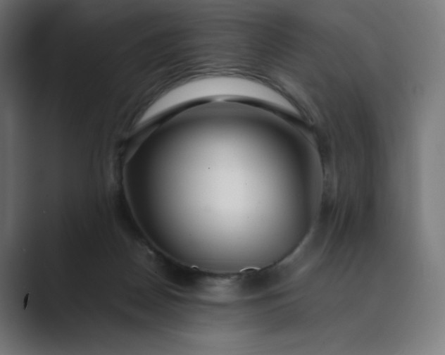 X0000089350170200706291028