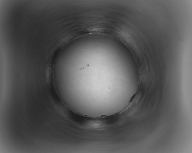 X0000089350171200706291028