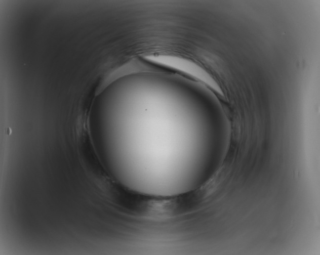 X0000089350172200706291028