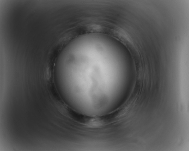X0000089350173200706291028