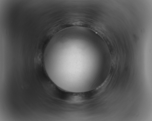 X0000089350175200706291028