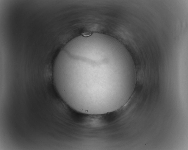 X0000089350179200706291028