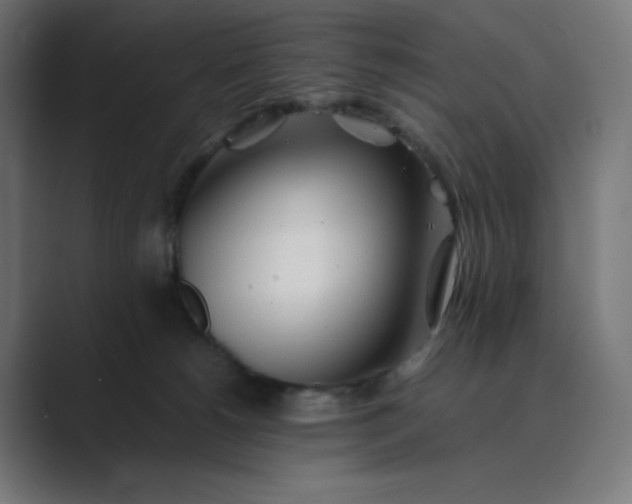 X0000089350180200706291028
