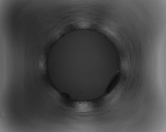 X0000089350181200706291028