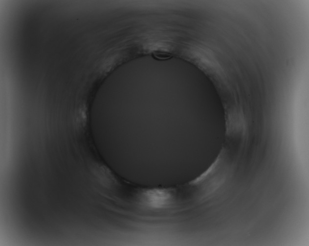 X0000089350183200706291028