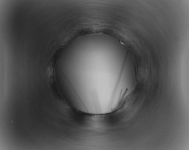 X0000089350184200706291028