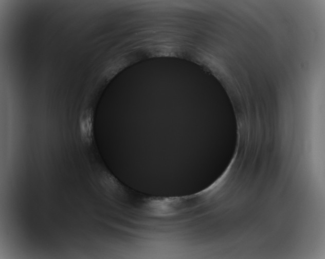 X0000089350190200706291029