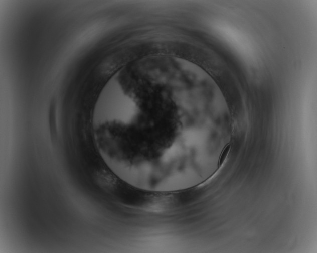 X0000089350191200706291029