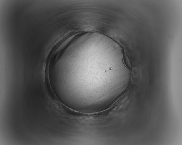 X0000089350194200706291028