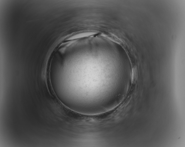 X0000089350195200706291028