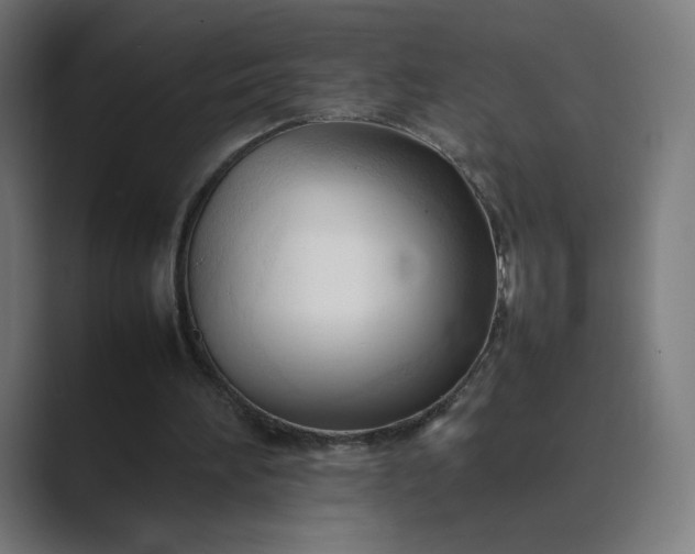 X0000089350196200706291028