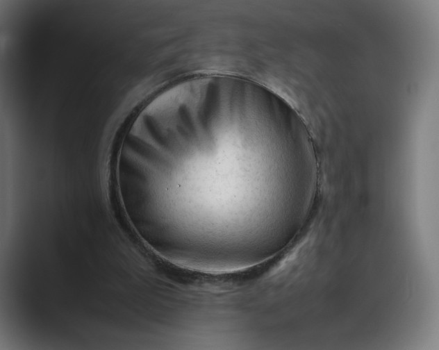 X0000089350199200706291028