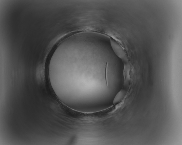 X0000089350200200706291028