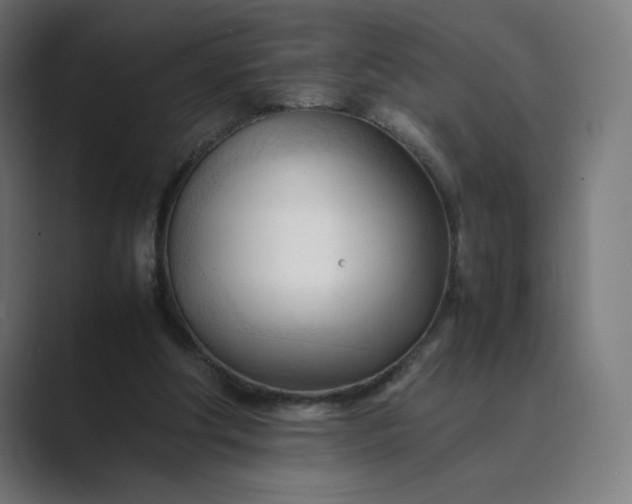 X0000089350202200706291028