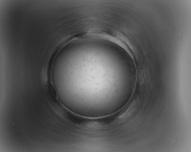 X0000089350203200706291028
