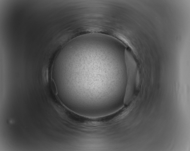 X0000089350205200706291028