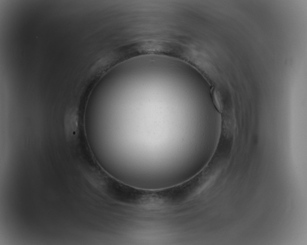 X0000089350207200706291028