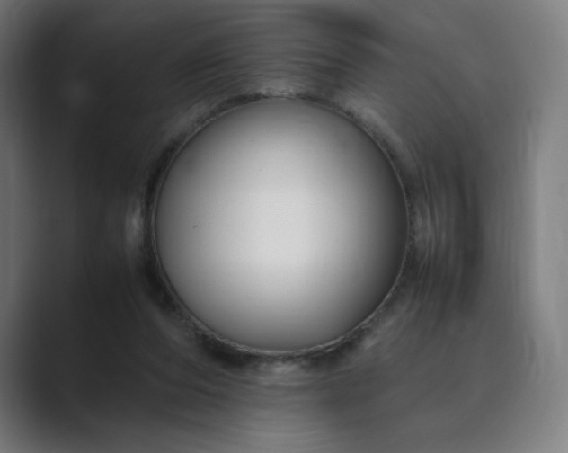 X0000089350208200706291028