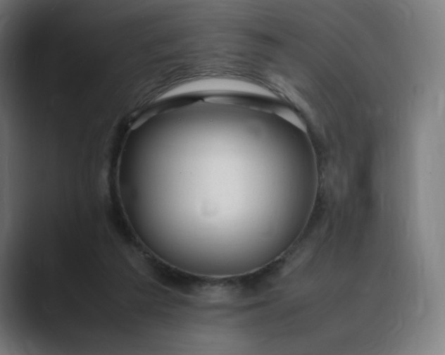 X0000089350209200706291028