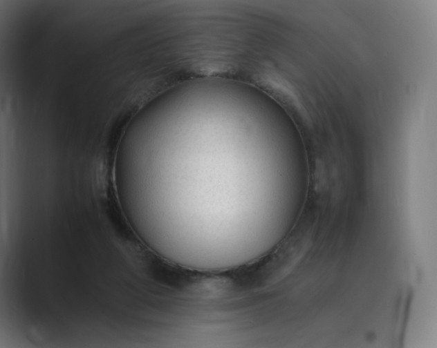 X0000089350210200706291028