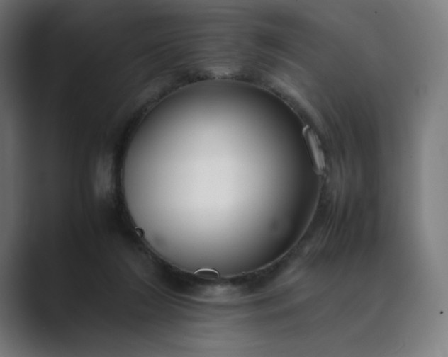 X0000089350212200706291028