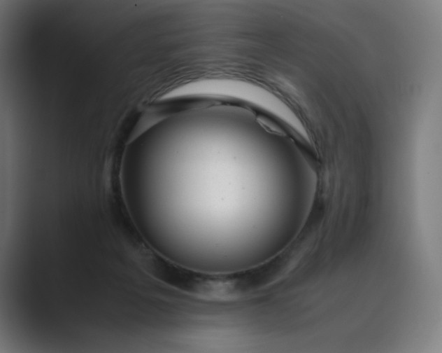X0000089350217200706291028