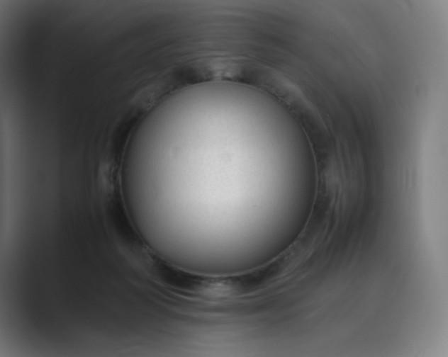 X0000089350218200706291028