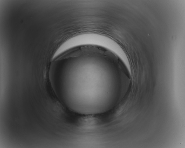 X0000089350219200706291028