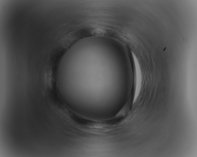 X0000089350223200706291028