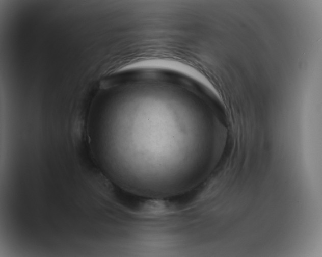 X0000089350227200706291027